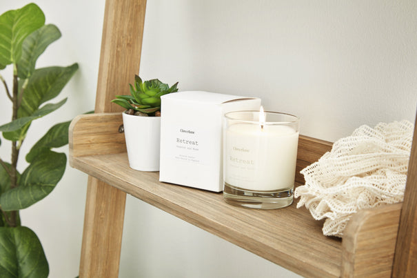 The Best Bedroom Plants in 2025 The Best Bedroom Plants in 2025