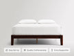 Bamboo Platform Bed Frame