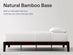Bamboo Platform Bed Frame