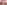 image without alt