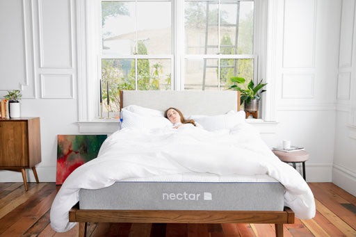 Euro Single Bed and Mattress