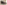 image without alt
