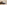Thumbnail for Nectar Premier Hybrid Bamboo Bundle
